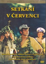 DVD Film - Setkání v červenci