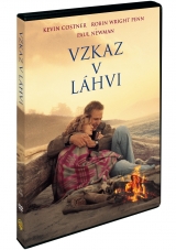 DVD Film - Vzkaz v láhvi