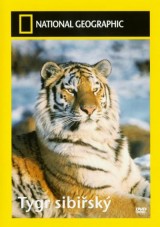 DVD Film - Tiger Sibírsky