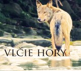 DVD Film - Vlčie hory