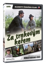 DVD Film - Za trnkovým keřem