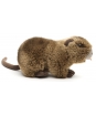  Plyšová nutria - Authentic Edition - 24 cm  