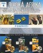 BBC edícia: Divoká Afrika 4 - Pobrežie (papierový obal)