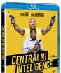 Centrální inteligence