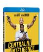 Centrální inteligence