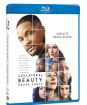 Collateral Beauty: Druhá šance