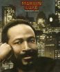Gaye Marvin : Midnight Love / Including The Sexual Healing Sessions  - 2CD