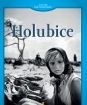 Holubice