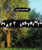 JANOUŠEK MILOŠ: MAPY LABYRITNU