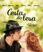 Kolekce: Cesty Tomáše Vorla (3 DVD)