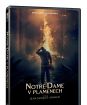 Notre-Dame v plamenech