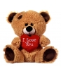 Plyšový medvídek - I Love You - 20 cm