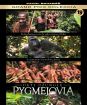 Pygmejovia – Deti džungle