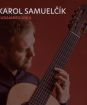 Samuelčík Karol : Sudamericanía