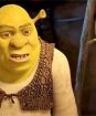 Shrek 4: Zvonec a konec