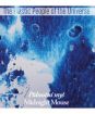 The Plastic People Of The Universe : Půlnoční myš
