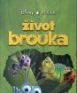 Život brouka