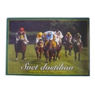 Hračka - Hra Dostihy