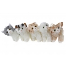 Hračka - Plyš mačka 5 farieb, 28cm      