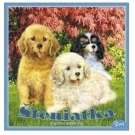 Hračka - Hra Šteniatka