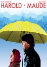 BLU-RAY Film - Harold a Maude