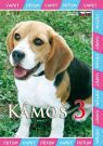 DVD Film - Kamoš 3