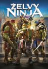 DVD Film - Želvy Ninja