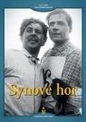 DVD Film - Synové hor