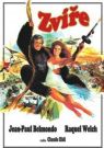 DVD Film - Zviera (papierový obal)